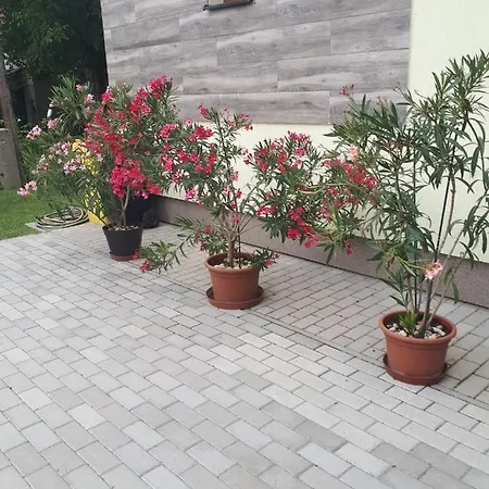 Flora Holiday Békésszentandrás